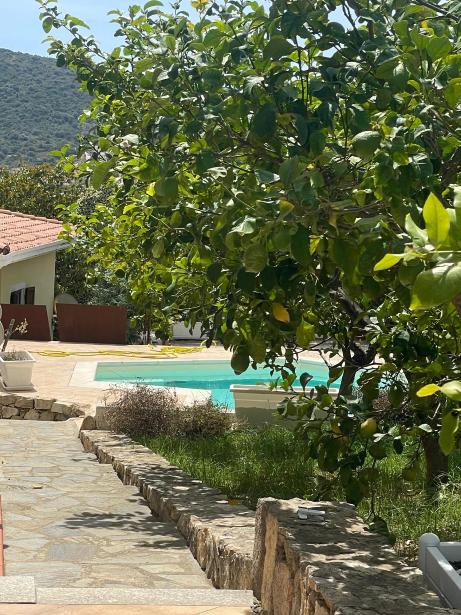 Sa Murta Bianca Guesthouse Budoni Exterior foto